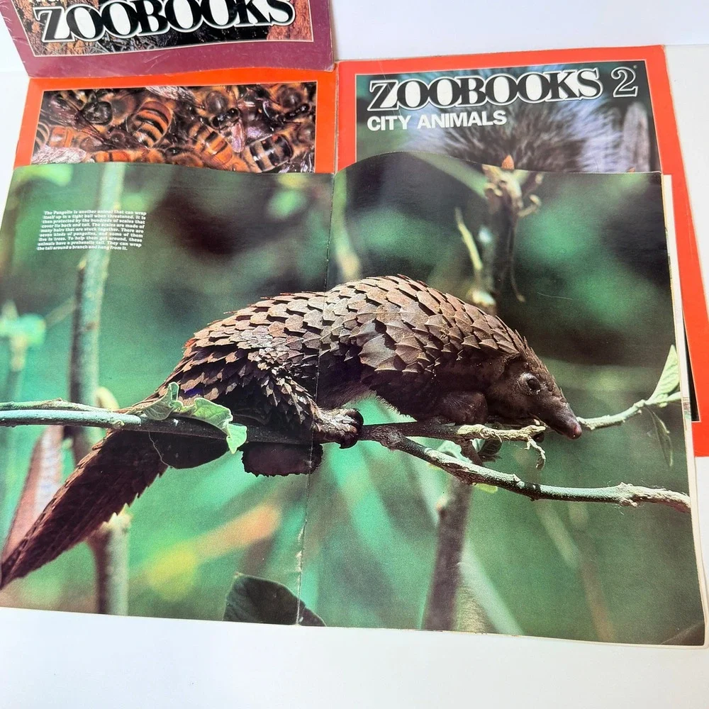 Zoobooks Magazine Lot of 4 Vintage Educational Nature Books 90s Animals Insects